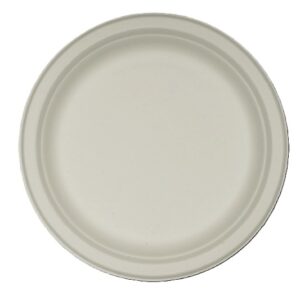 Disposable Sugarcane Round Plates, 30.5 cm, Pack of 10